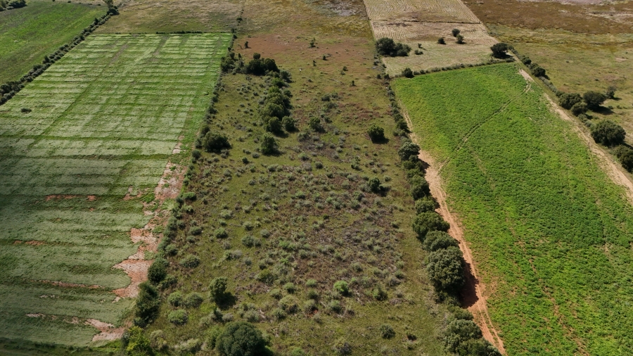 4 Bedroom Property for Sale in Potchefstroom Rural North West